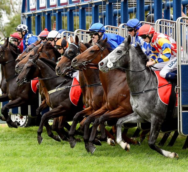 racing jockey-25 racing jockey-25