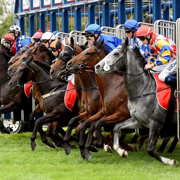 racing jockey-25 racing jockey-25